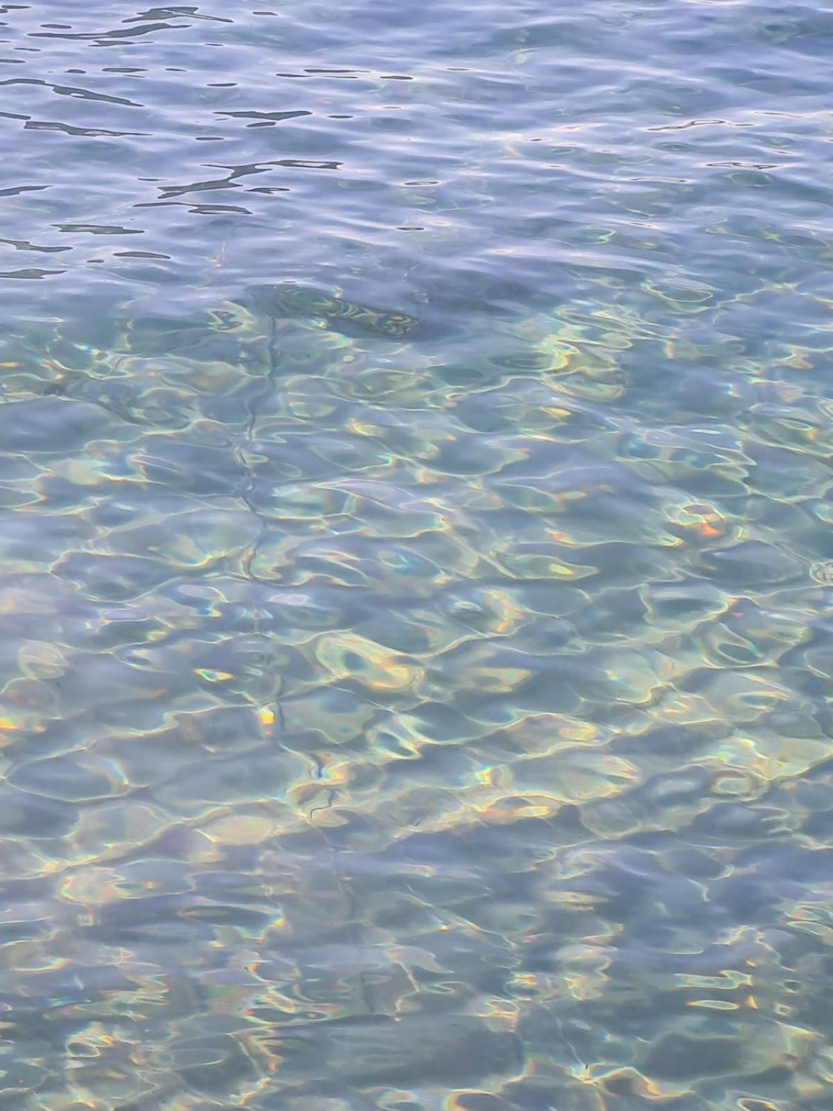 Casetta Bella Nonna Rosetta Mondello Bagian luar foto